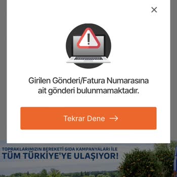 MNG Kargo Kargo Bulunamadı Sorunu