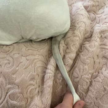 Eskişehir Veteskop Veteriner Kliniği Hayvan Sağlığına Zararlı Şeyler Yapıyor