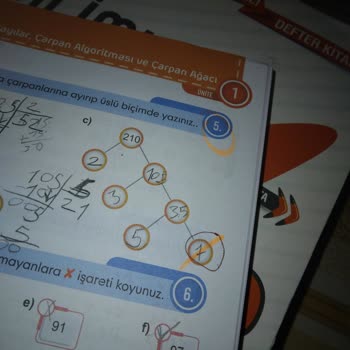 Hiper Zeka Mağdurluk Cevap Anahtarı Yanlış