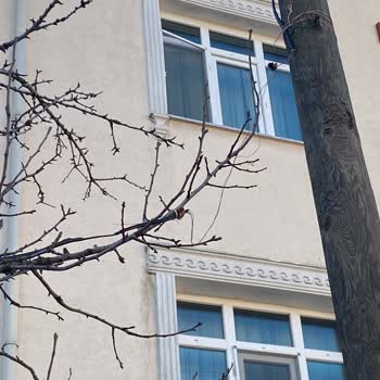 Türk Telekom İnternet Pişmanlığı Ve Müşteri Hizmetleri Sorunları