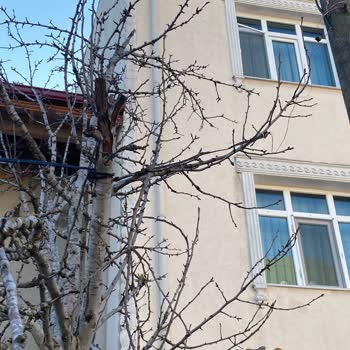 Türk Telekom İnternet Pişmanlığı Ve Müşteri Hizmetleri Sorunları