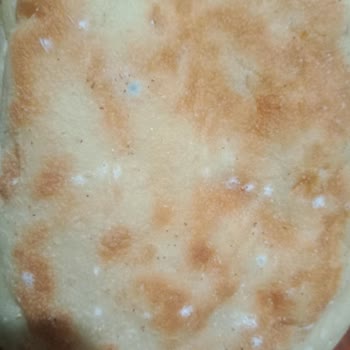 BİM Aldığım Üründe Küf Çıkması