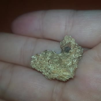 Kurtuluş Kuruyemiş Kayısıdan Sunta Çıktı