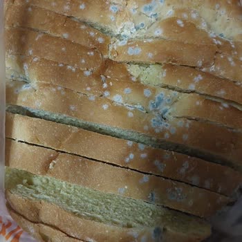 BİM Bozuk Ürün Küflenmiş