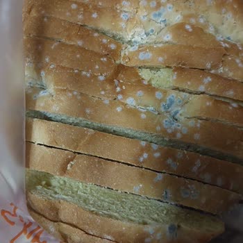 BİM Bozuk Ürün Küflenmiş