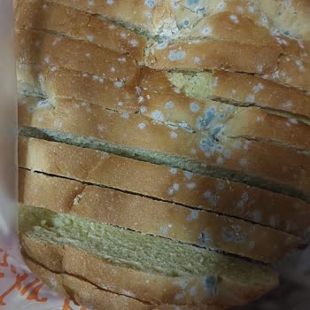 BİM Bozuk Ürün Küflenmiş