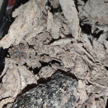 Migros Değişim Ve İade Yapmıyor.