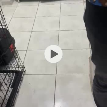 Veteskop Veteriner Kliniği İlgisiz Sorumsuz Ve Bilgisizler