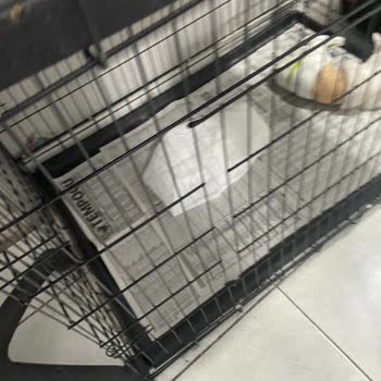 Veteskop Veteriner Kliniği İlgisiz Sorumsuz Ve Bilgisizler