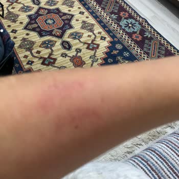 Osmaneli Mustafa Selahattin Çetintaş Devlet Hastanesi Hasta Haklarının Hiçe Sayılması