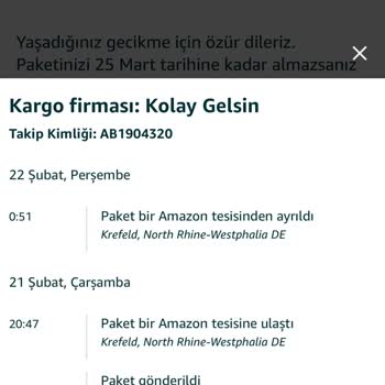 Amazon Teslim Edilmeyen Skechers Ayakkabı