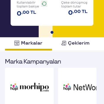 1.000 TL Pluxee Ücretim Kullanılmadığı Halde Bakiyem Sıfırlandı