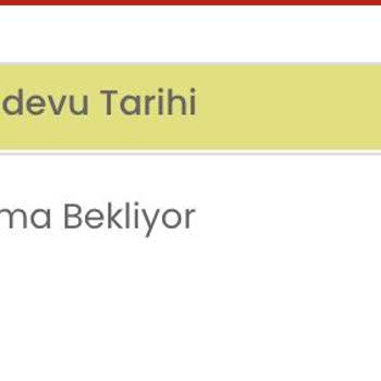 Idata Almanya Ulusal Vize Randevu Tarihi Atama