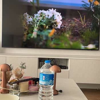 Samsung TV Ömrü 2,5 Yıl Bile Değil