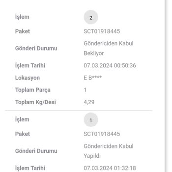 Scotty Kargo Gecikmesinin Kısa Sürede Çözümü