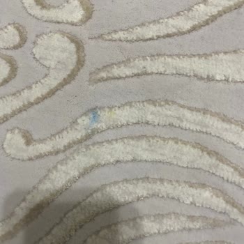 Görkem Halı Yıkama İzmir Karşıyaka'da Halı Yıkama Hizmeti İle İlgili Müşteri Memnuniyetsizliği