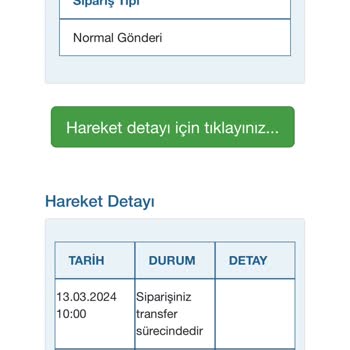 Borusan Lojistik Yavaşlığı Rekor Kırar