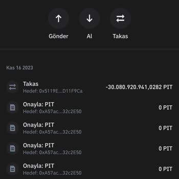 Trust Wallet Cüzdanda Gözükmeyen Coin