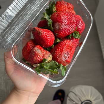 Migros Sanal Market Küflü Meyveler