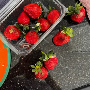 Migros Sanal Market Küflü Meyveler