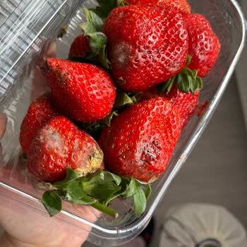 Migros Sanal Market Küflü Meyveler