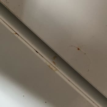 Bosch Buzdolabı Kapağı Paslanması