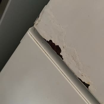 Bosch Buzdolabı Kapağı Paslanması