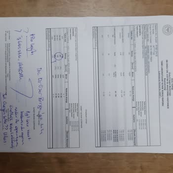 Türkiye Hayat Emeklilik Acil Ameliyat Gerekliliğine Sigorta Engeli