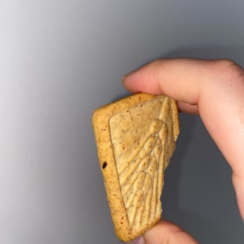 Eti Gıda Etinin Böcekli Form Bisküvisi