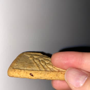 Eti Gıda Etinin Böcekli Form Bisküvisi