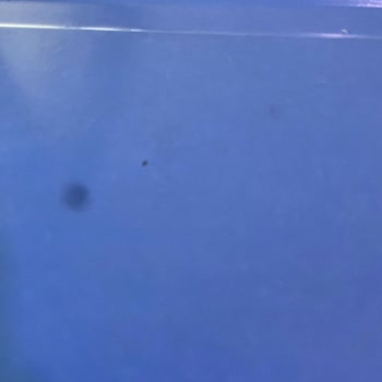 iPhone 12 Arka Kamerada Hatası