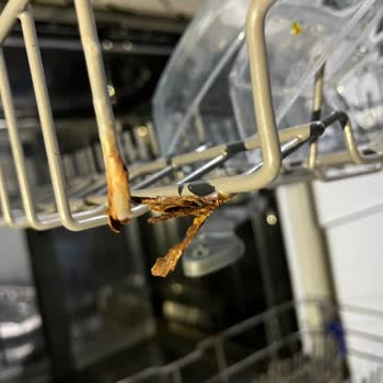 Franke FDWS712A ++XS Bulaşık Makinesi Sepet Paslanması