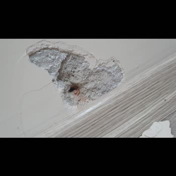 Avrasya Yönetim Yönetim Şirketinin Hatasını Düzeltmemesi