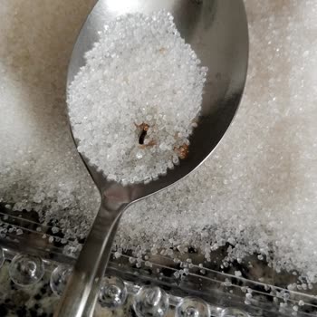 Doğuş Şekerden Fare Dışkısı Çıktı