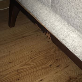 Evkur'un Müşteri Mağduriyeti