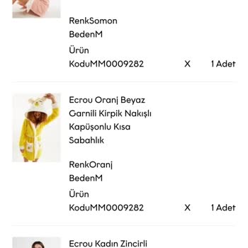 Ecrou Sitesinden Yapılan Siparişlerim Gelmiyor, E Arşiv Faturası Eksik