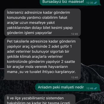 Dostumpaticik (Instagram) Hayvan Sahiplendirme Sürecinde Yaşanan Mağduriyet
