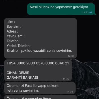 Dostumpaticik (Instagram) Hayvan Sahiplendirme Sürecinde Yaşanan Mağduriyet
