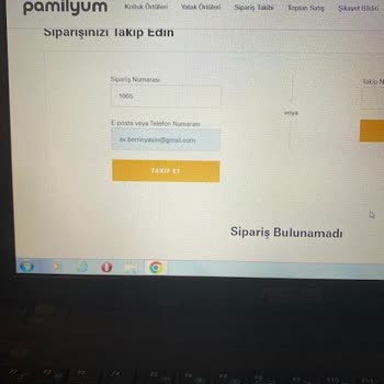 Pamilyum Şirketi Koltuk Örtüsü