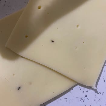 Hakmar Peynirinde Beklenmedik Misafir!