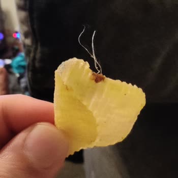 Ruffles'dan Çıkan Ne İdüğü Belirsiz Şey