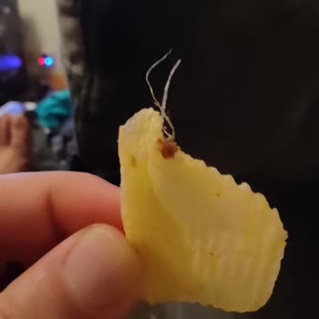 Ruffles'dan Çıkan Ne İdüğü Belirsiz Şey