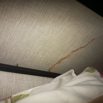 Ergül Mobilya Ürününe Sahip Çık