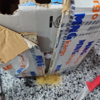 MNG Kargo Kargo Paketi Patlak Ve Zararlı Geldi