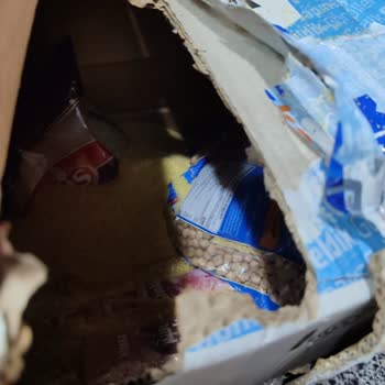 MNG Kargo Kargo Paketi Patlak Ve Zararlı Geldi