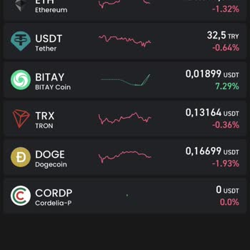 Bitay Kripto Para Erişim Sorunları Ve Müşteri Hizmetleri Mağduriyeti