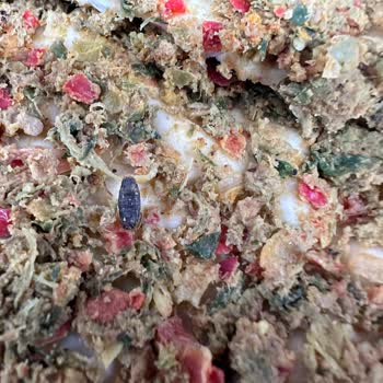 PekFood Lahmacundan Böcek Çıktı