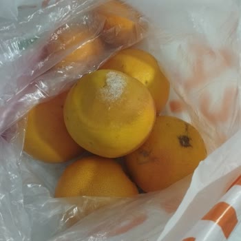 Migros'un Siparişindeki İhmalkarlıklar