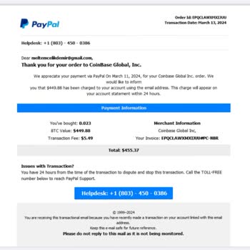PayPal Alınmamış Ürün/hizmet Faturası Gönderimi