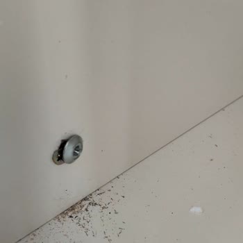 Yetkili Servisinin Yanlış Kurulumu Ve Bellona'nın İlgisiz Olusu